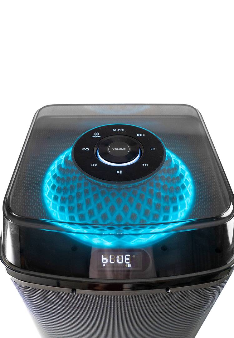 NIKO Electronic - SPEAKER WT10C