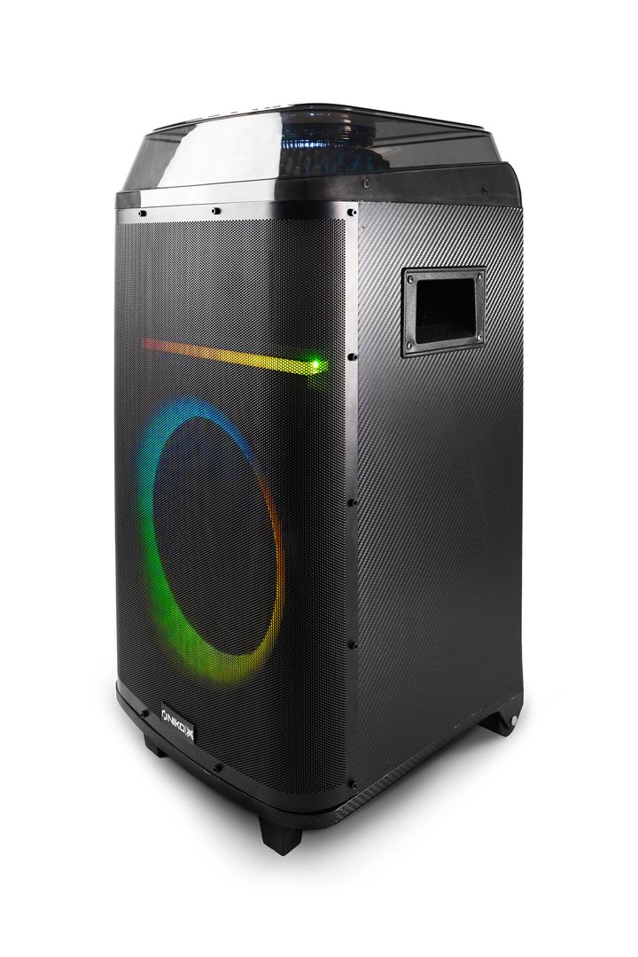 NIKO Electronic - SPEAKER WT10C